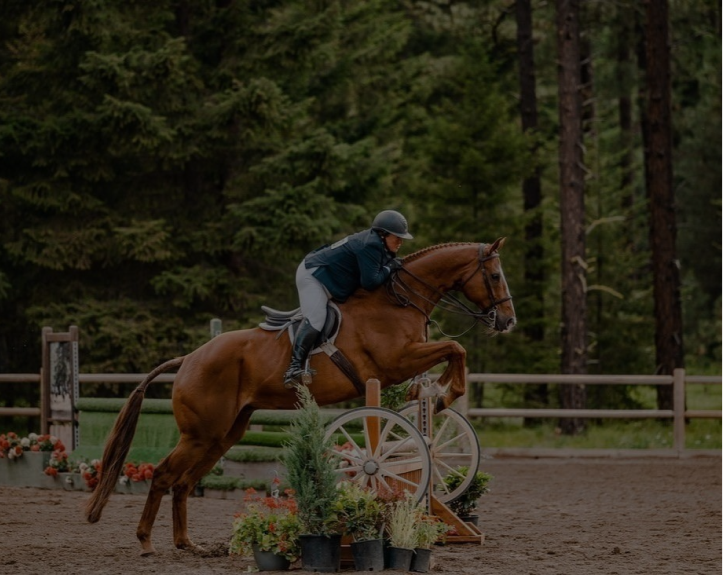 Horse jumping at an event